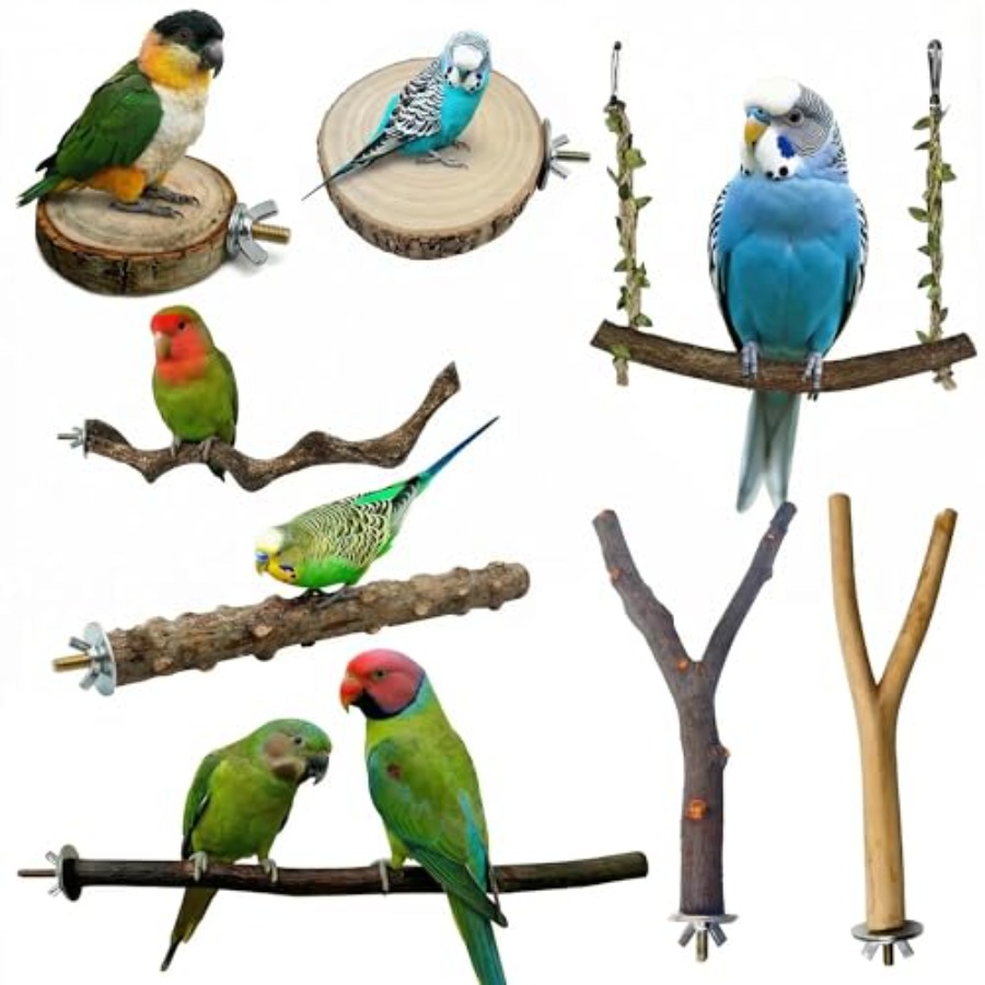 Health & Wellness Japan - 8 perchoirs en bois naturel pour