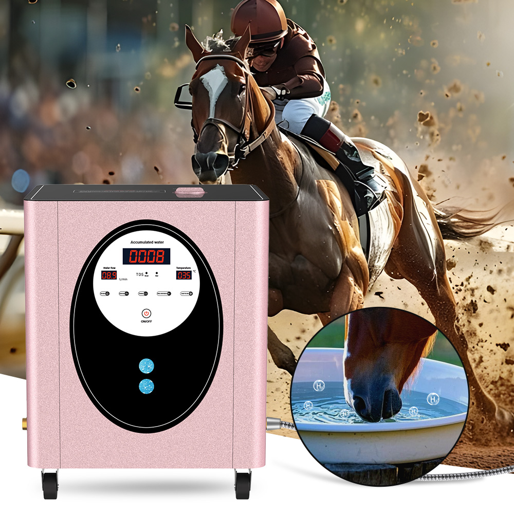 Health Wellness Spa - SUYZEKO Machine à eau d'hydrogène pour