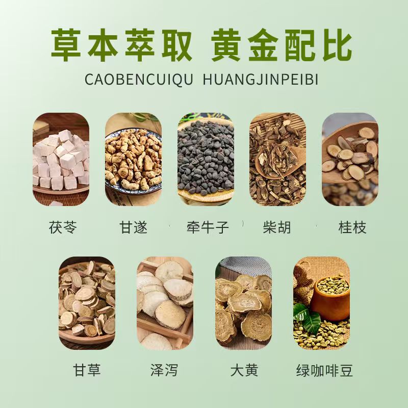 20 pâtes de moxibustion pour l - Health & Wellness Japan avis et prix