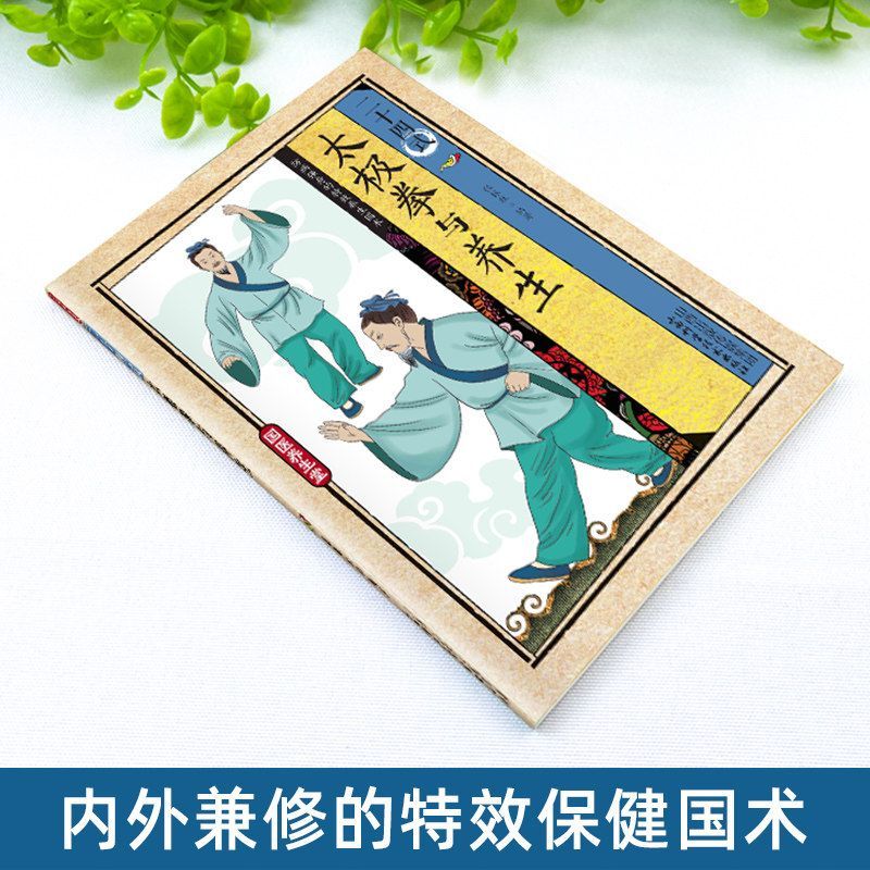24 styles de Tai Chi et exerci - Health & Wellness Japan avis et prix